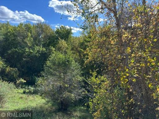 Picturesque wooded views make this townhome unique for the area