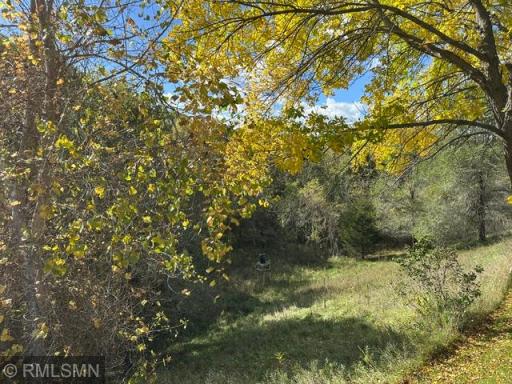 Trees, meadow, river... This is a peaceful natural oasis.