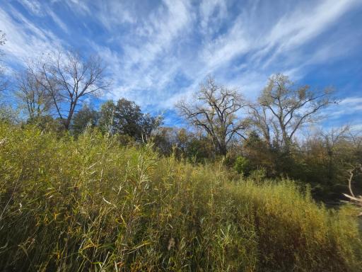 TBD 300th St, Henderson, MN 56044