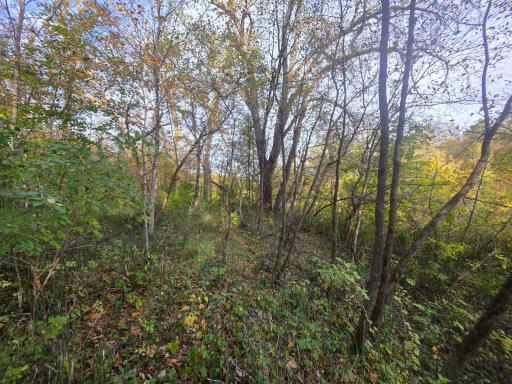 TBD 300th St, Henderson, MN 56044