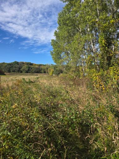 TBD 300th St, Henderson, MN 56044