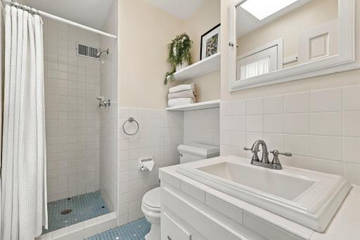62-web-or-mls-6109_Tingdale_Avenue_Minneapolis_055.jpg