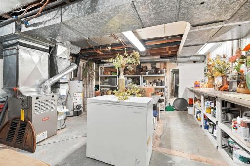 74-web-or-mls-6109_Tingdale_Avenue_Minneapolis_041.jpg