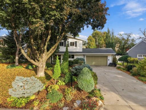 107-web-or-mls-6109_Tingdale_Avenue_Minneapolis_109.jpg