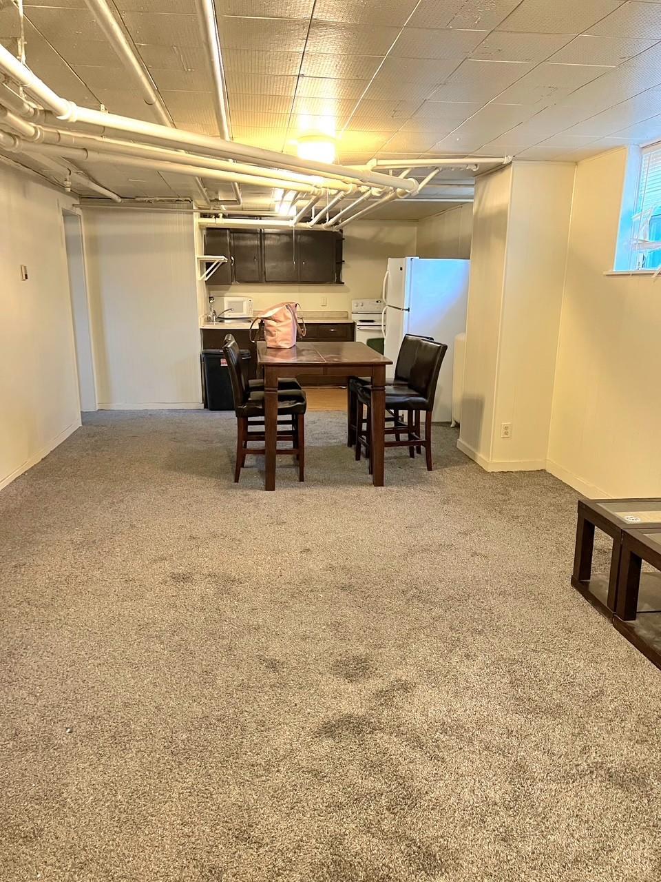 Lower Level Living Room.jpg