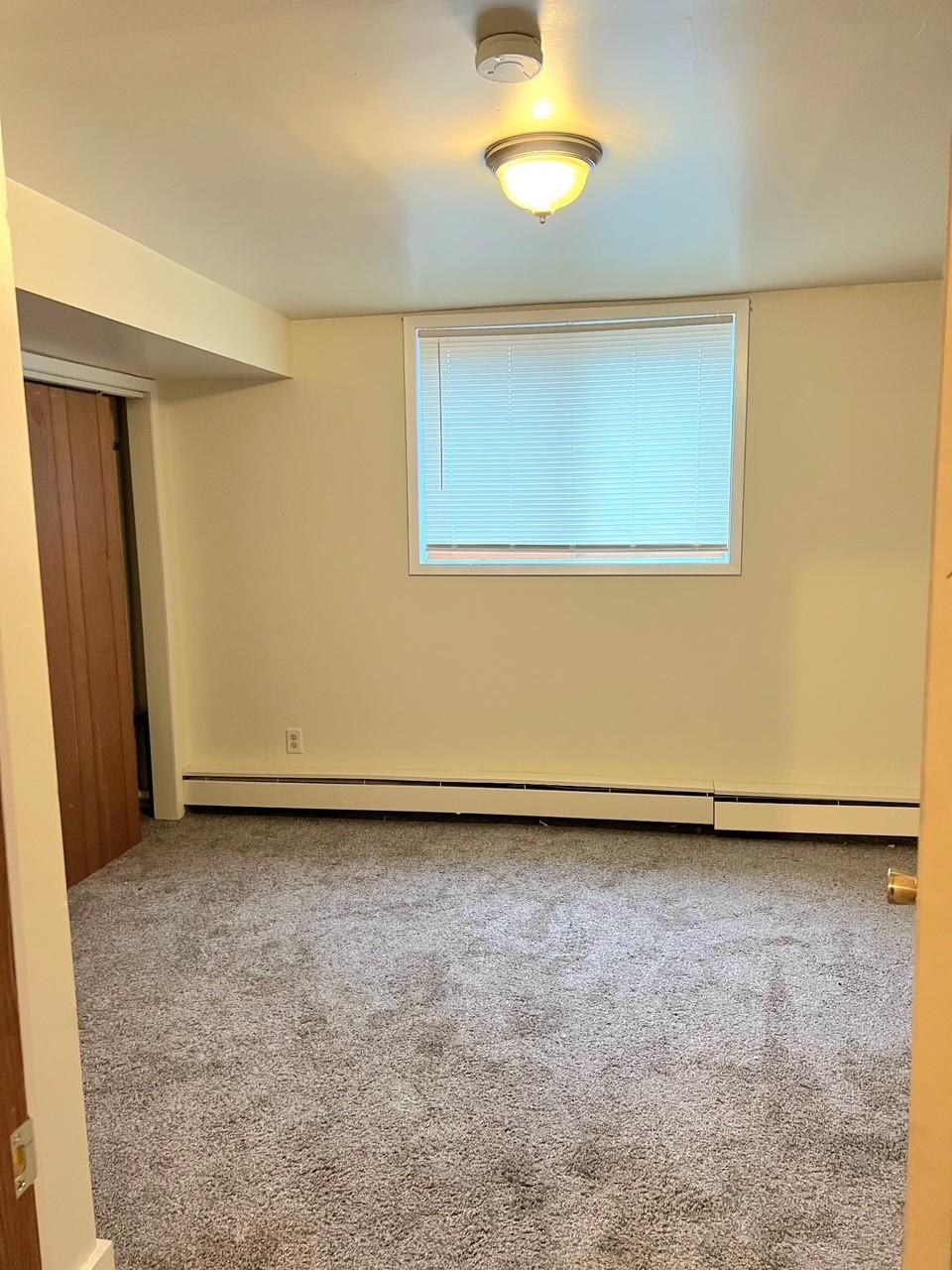 Lower Level Bedroom.jpg