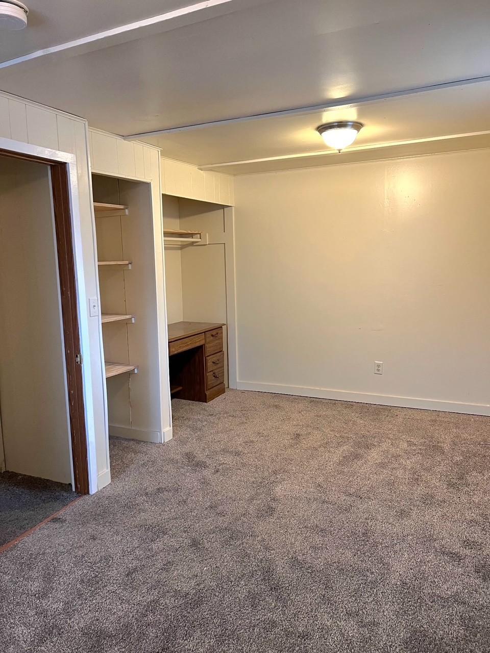 Lower Level Bedroom 1.jpg