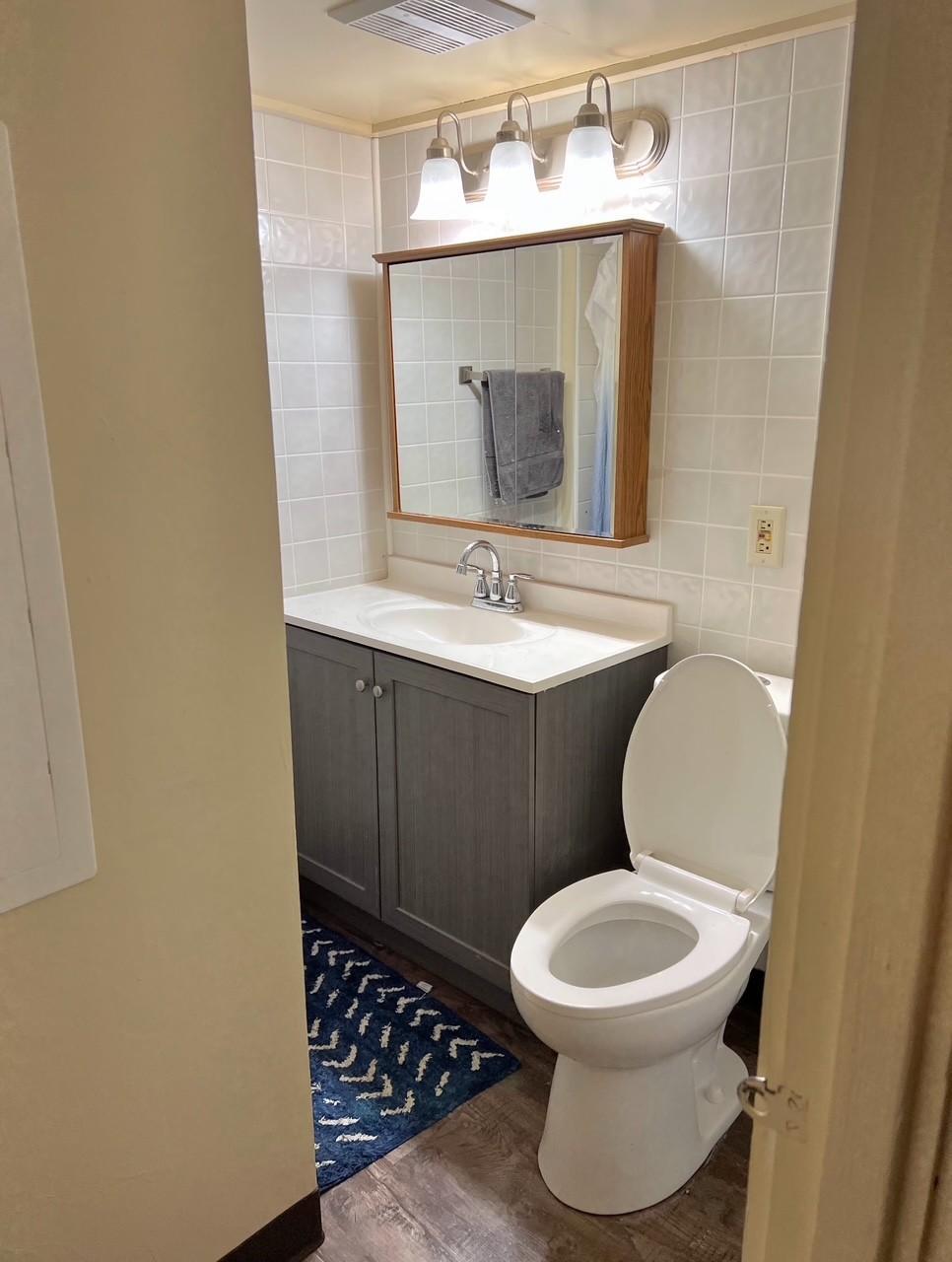 Lower Level Bathroom.jpg