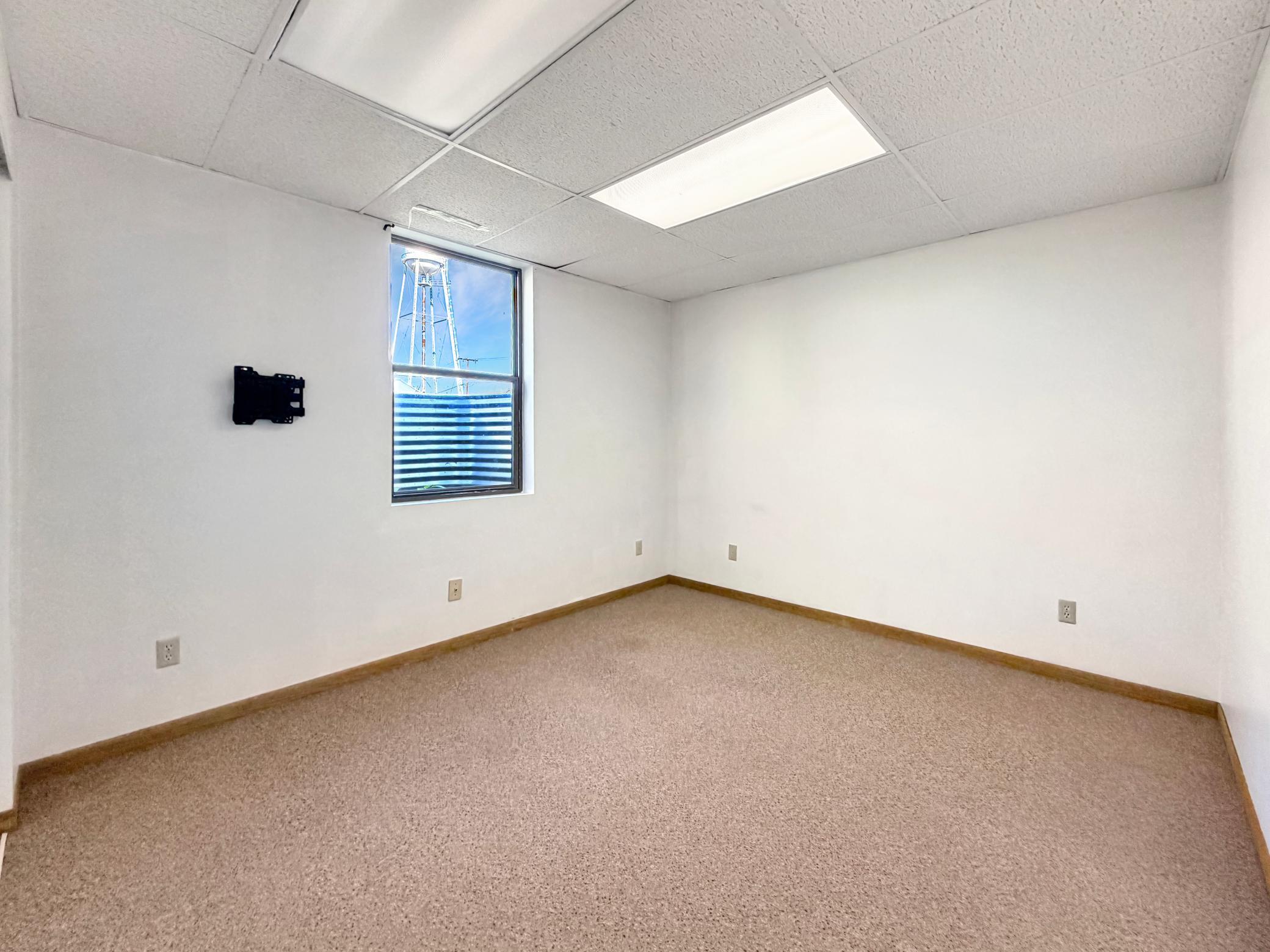 Basement Bedroom