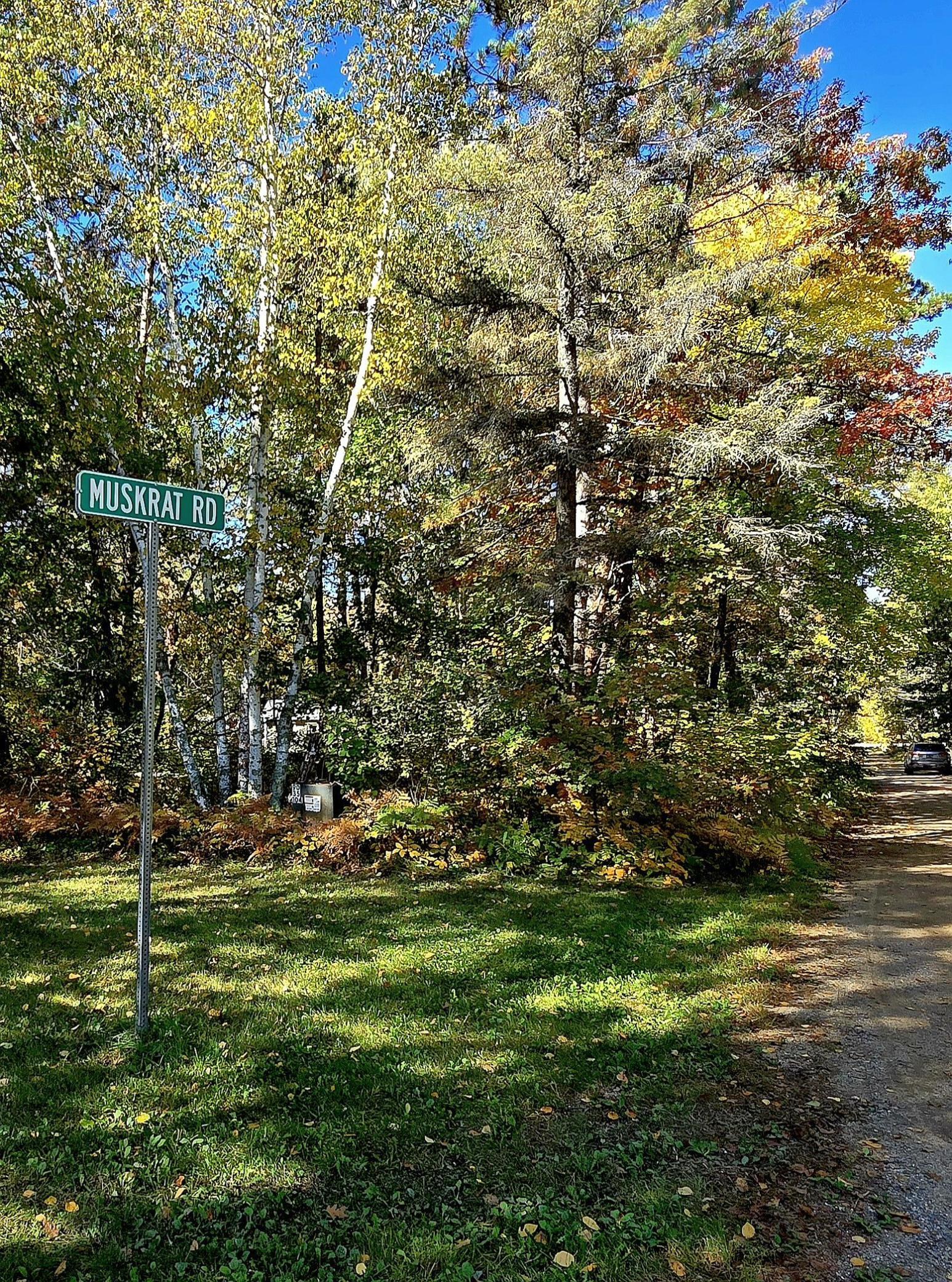 Muscrat Rd.jpg