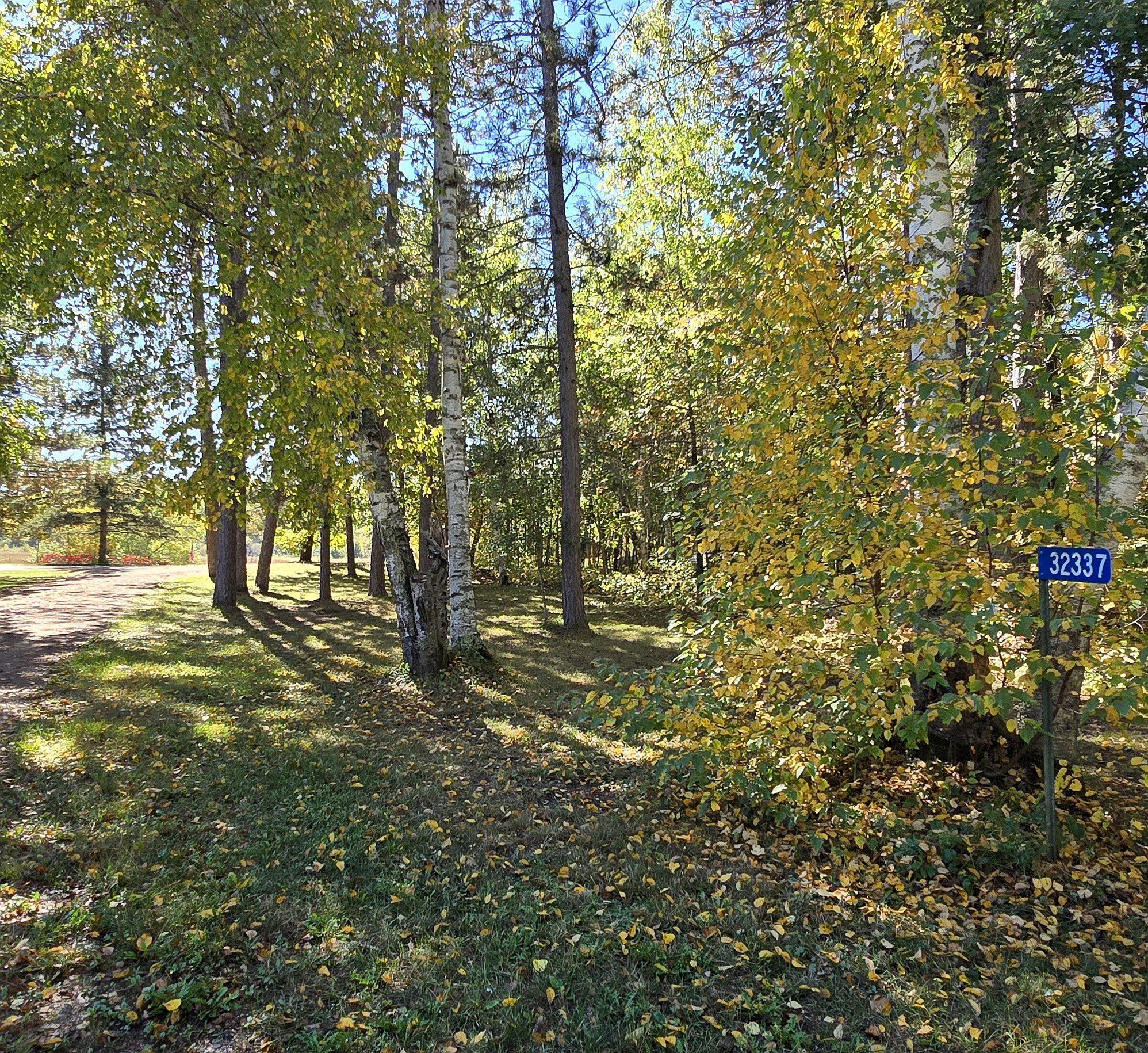 follow this driveway in the left of photo to the river.jpg