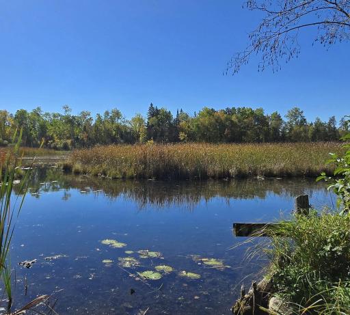 34335 Muskrat Road, Laporte, MN 56461