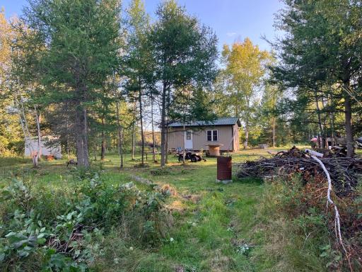 Nelson Cabin.jpeg