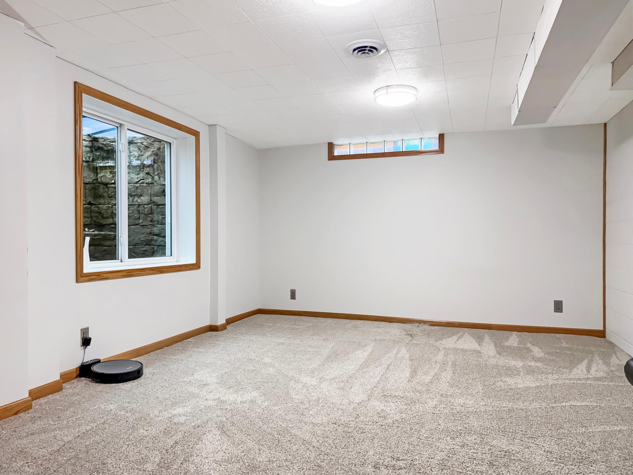 Basement Bedroom
