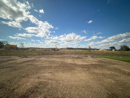 (Photo is of the actual backyard in progress.)