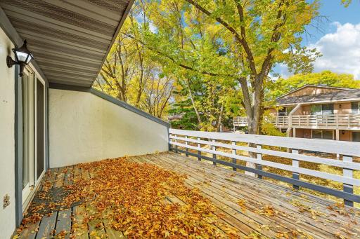 6852 Macbeth Circle, Woodbury, MN 55125
