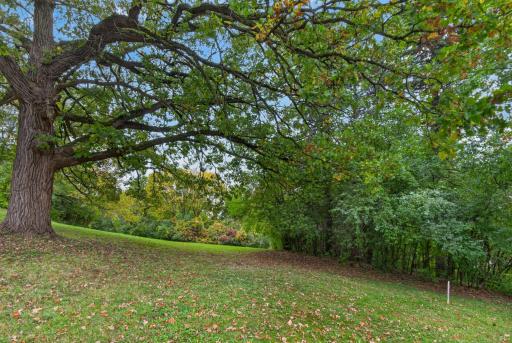 TBD Oakridge Street, Saint Paul, MN 55119