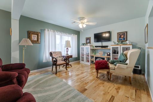 234 Main Street W, 200, Wabasha, MN 55981