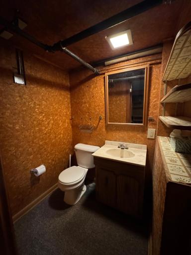 Lower Level Bathroom with Separate Shower Area