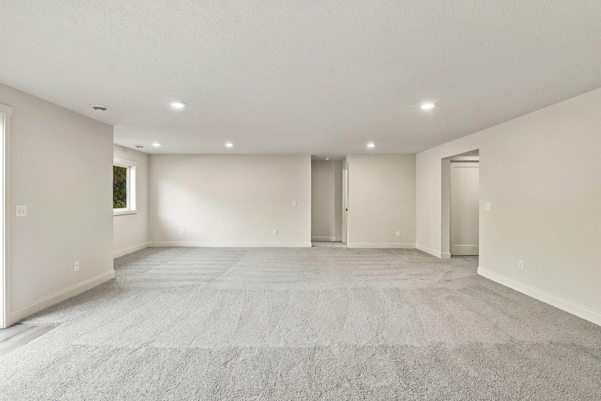 Basement family room