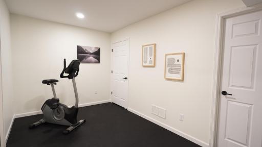 The workout room, located at the back of the lower level, is spacious and features brand new resilient rubber gym flooring and a large finished closet.