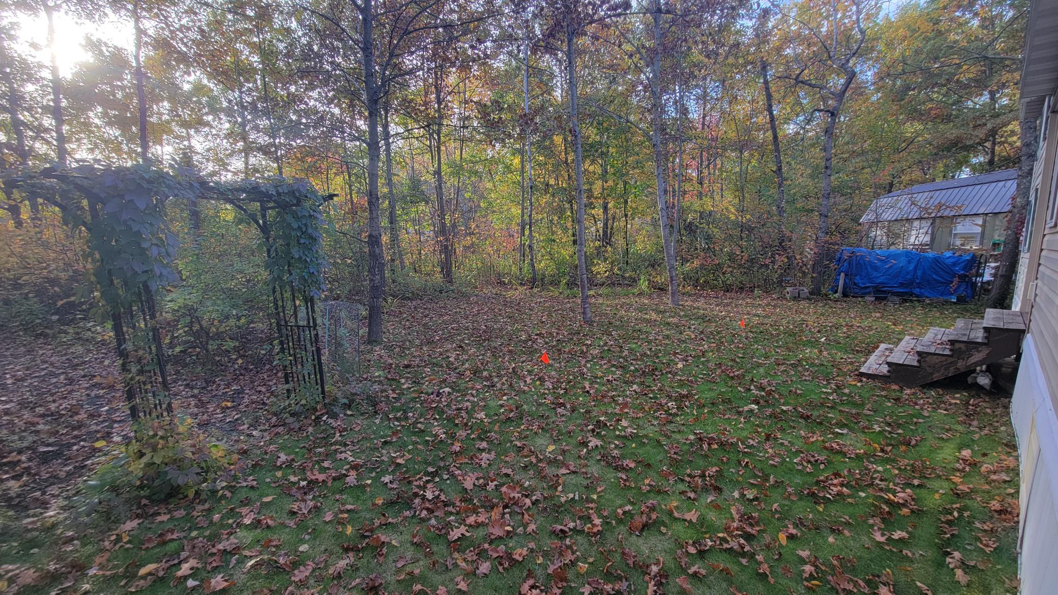 20261006_170222.jpg