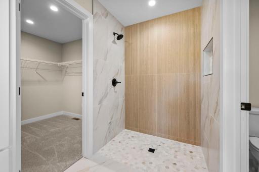 Primary walk in closet, shower and separate room for toilet.