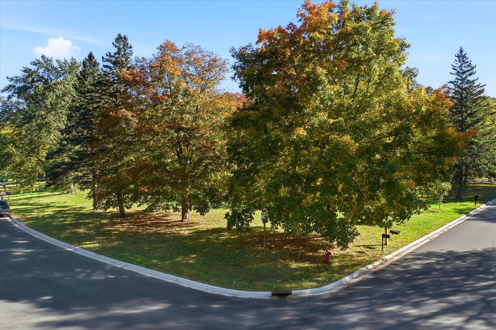 A wonderful opportunity to create your own home in an established area while enjoying the recreation and natural beauty of Lake Pulaski nearby!
