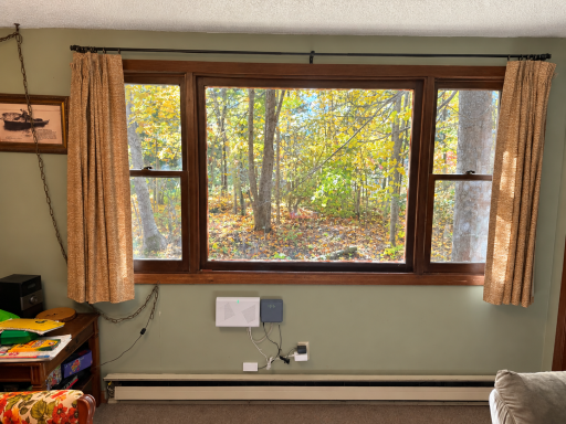 41748 Teal RD, Bigfork, MN 56628