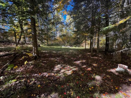 41748 Teal RD, Bigfork, MN 56628