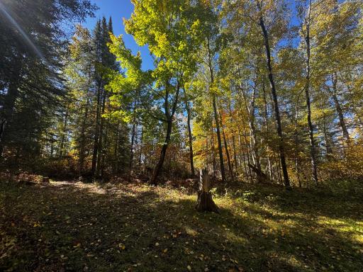 41748 Teal RD, Bigfork, MN 56628