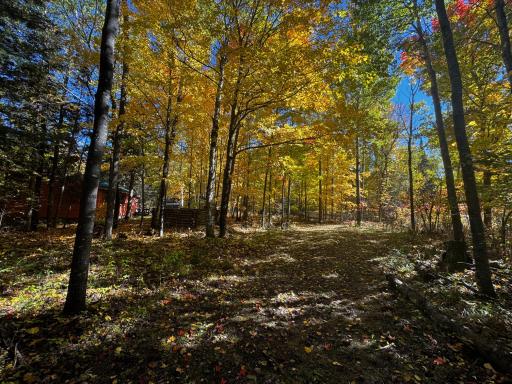 41748 Teal RD, Bigfork, MN 56628