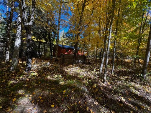 41748 Teal RD, Bigfork, MN 56628