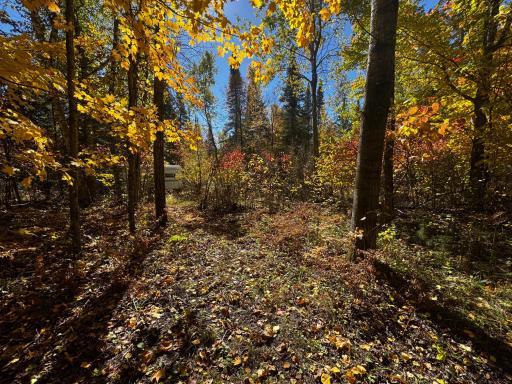 41748 Teal RD, Bigfork, MN 56628
