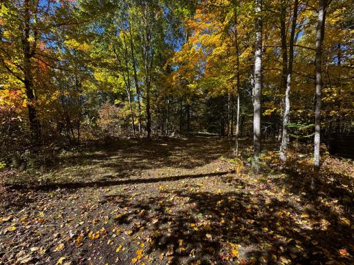 41748 Teal RD, Bigfork, MN 56628