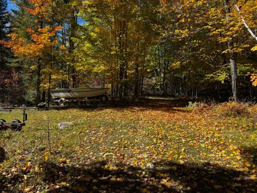 41748 Teal RD, Bigfork, MN 56628