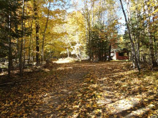 41748 Teal RD, Bigfork, MN 56628
