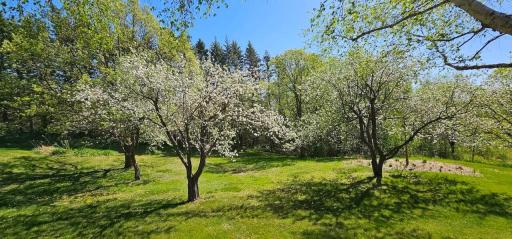 26003 Heritage Road, Cold Spring, MN 56320