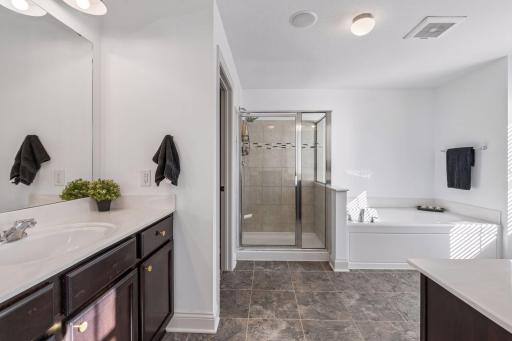 1078 Rosemary Circle, Chaska, MN 55318
