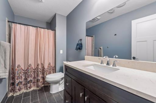 1078 Rosemary Circle, Chaska, MN 55318