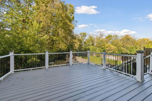 1078 Rosemary Circle, Chaska, MN 55318
