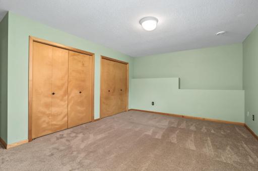 2nd bedroom on lower level with dual closets.