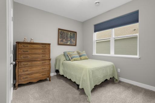 13626 Applewood Trail, Rosemount, MN 55068