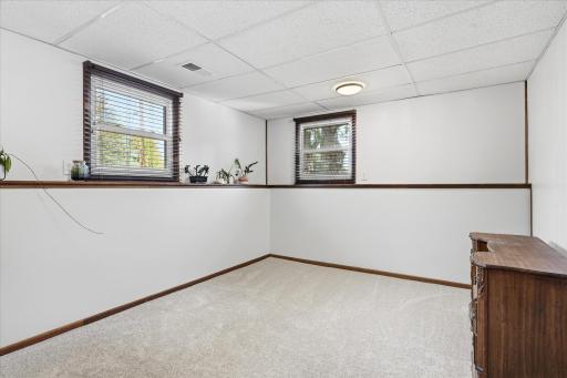 Generously sized lower-level bedroom #3 with new carpet, multiple windows providing natural light, and plenty of space for bedroom furniture or a home office setup.