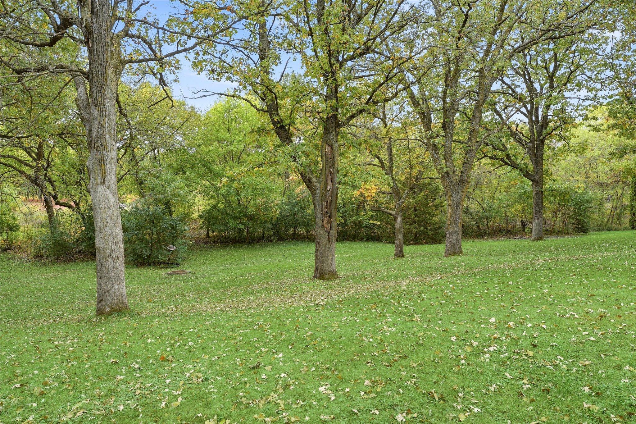 A standout feature of this property is that it backs up to Bridgeview Park Reserve, a natural area offering a scenic one-mile trail through restored prairie, oak savanna, and oak forest.