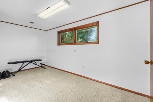 218 Maple Street, Le Sueur, MN 56058