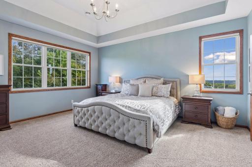 A tranquil retreat, the spacious Primary Bedroom offers panoramic views of the Minnesota River Valley.