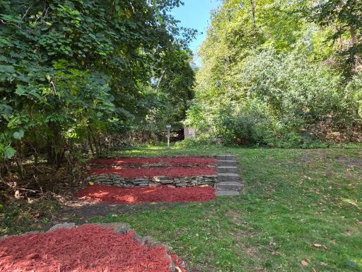 Stairs leading to shed and backyard woods