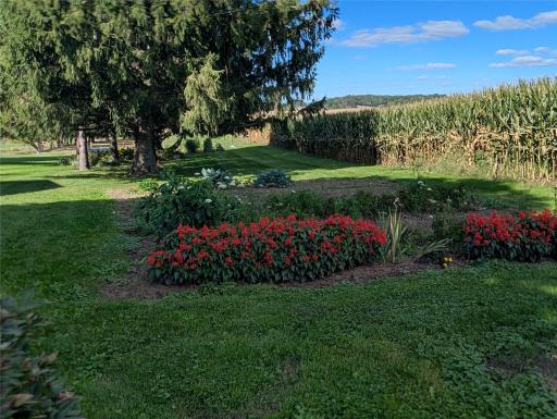 E799 1150th Avenue, Downing, WI 54734