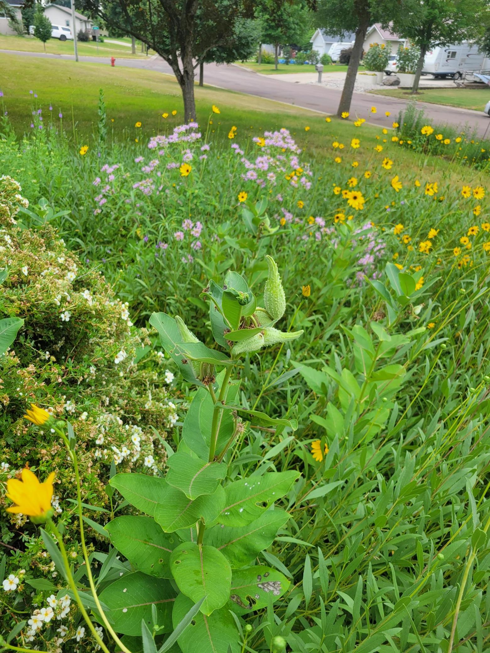 Exterior (Summer Flowers)